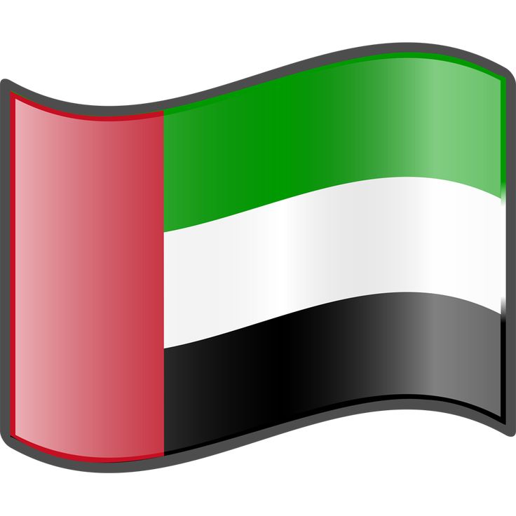 UAE flag